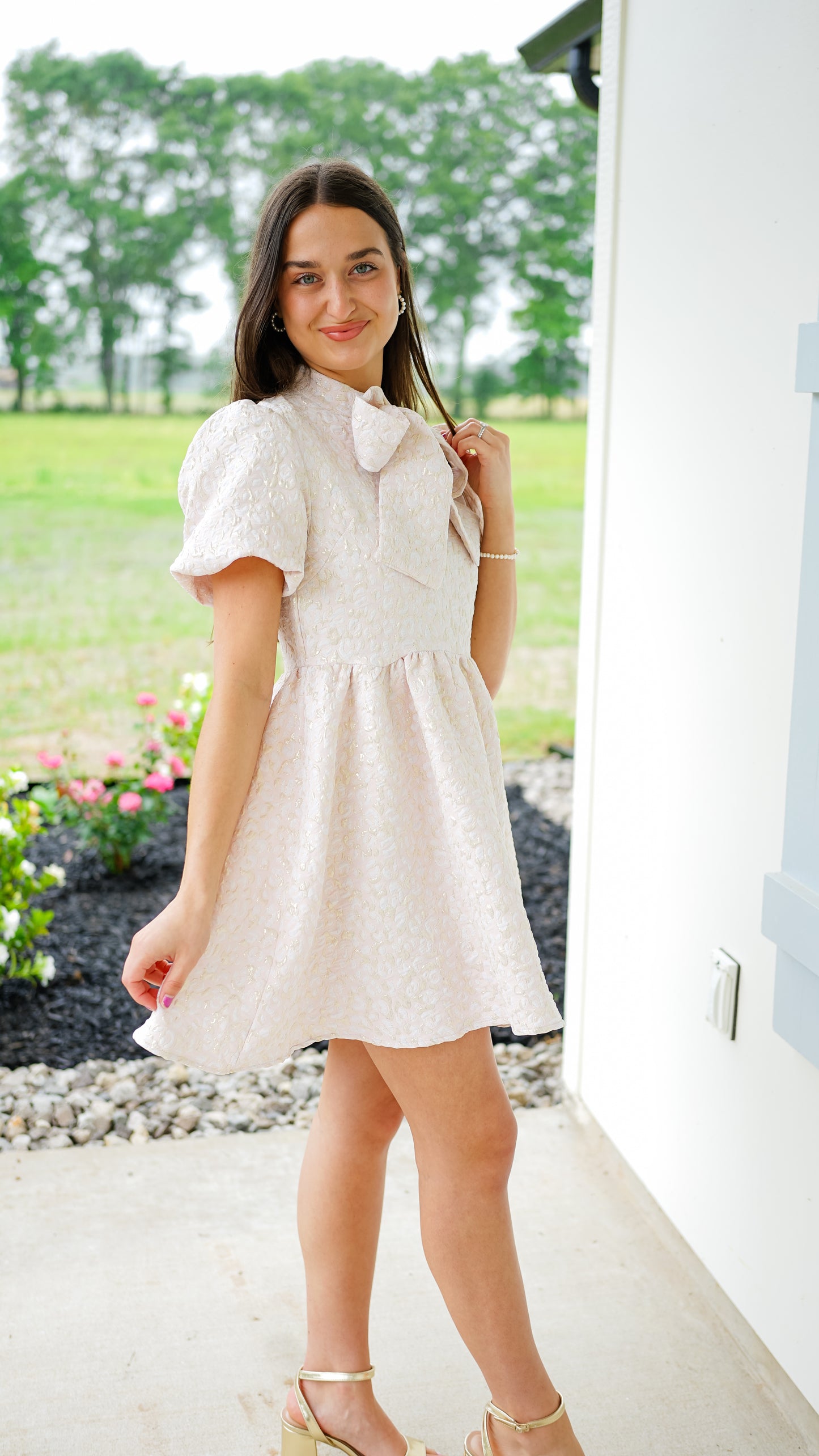 Blush and Bashful Dress