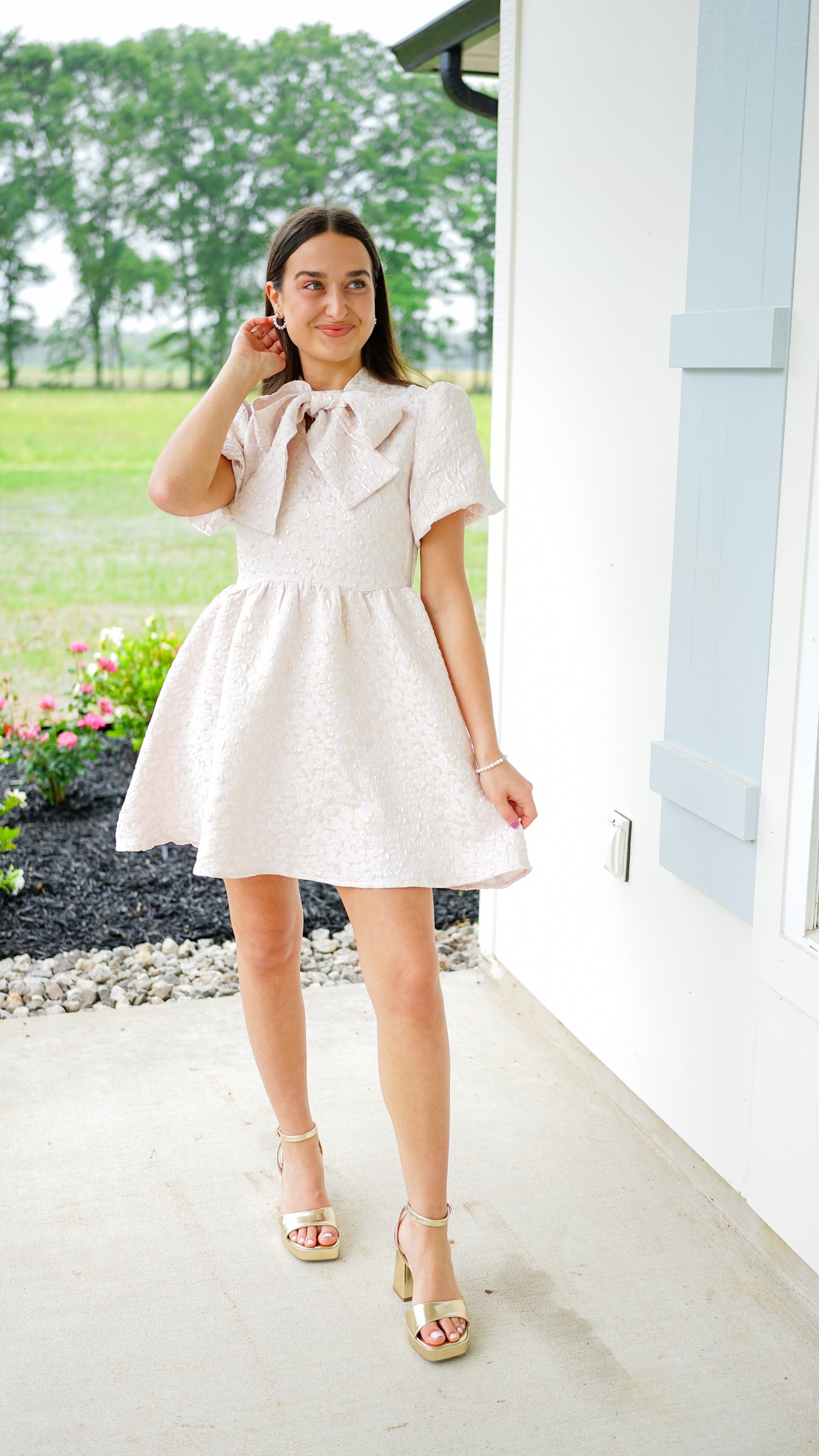 Blush and Bashful Dress