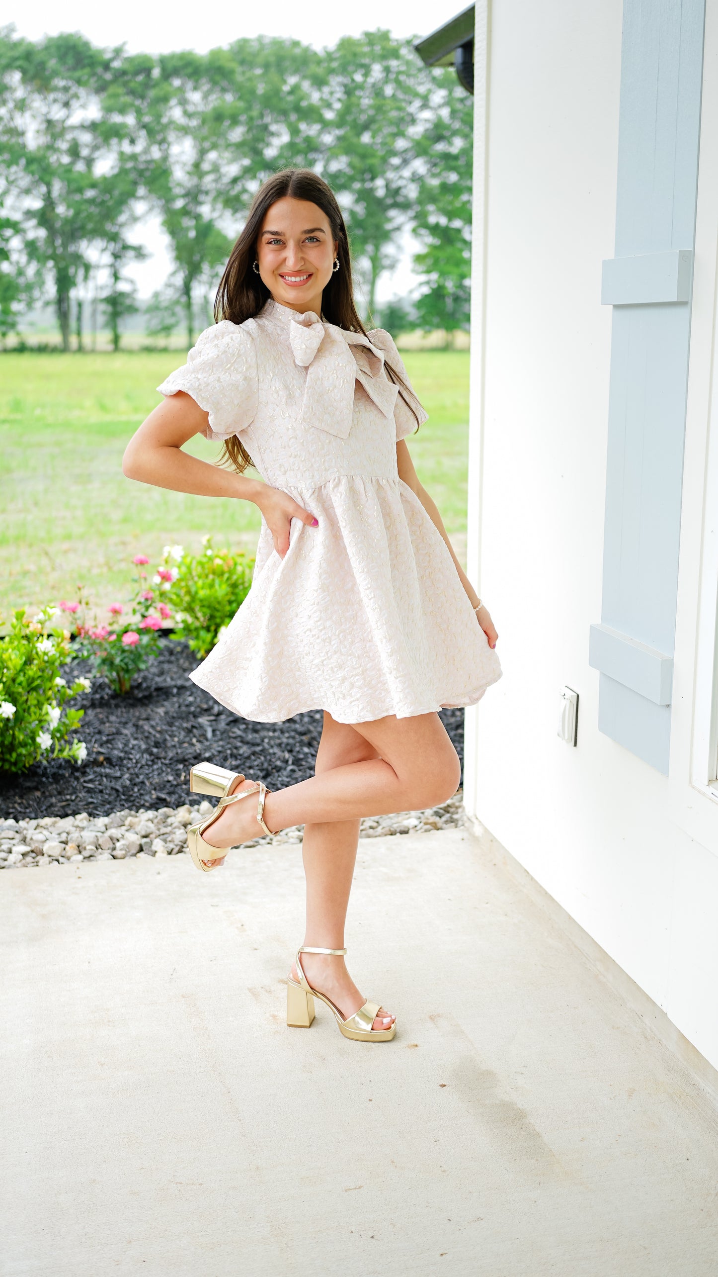 Blush and Bashful Dress