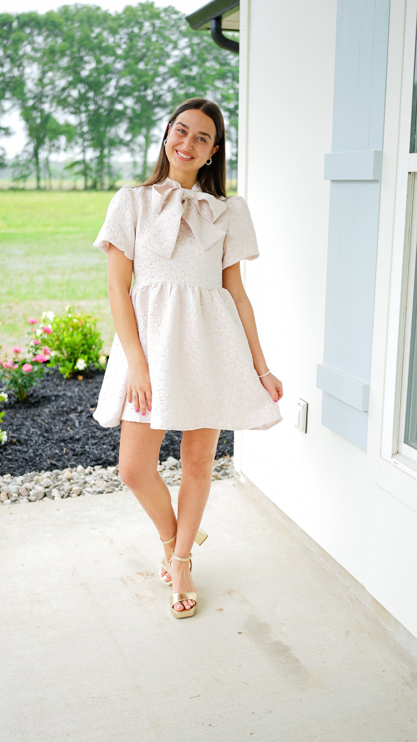 Blush and Bashful Dress