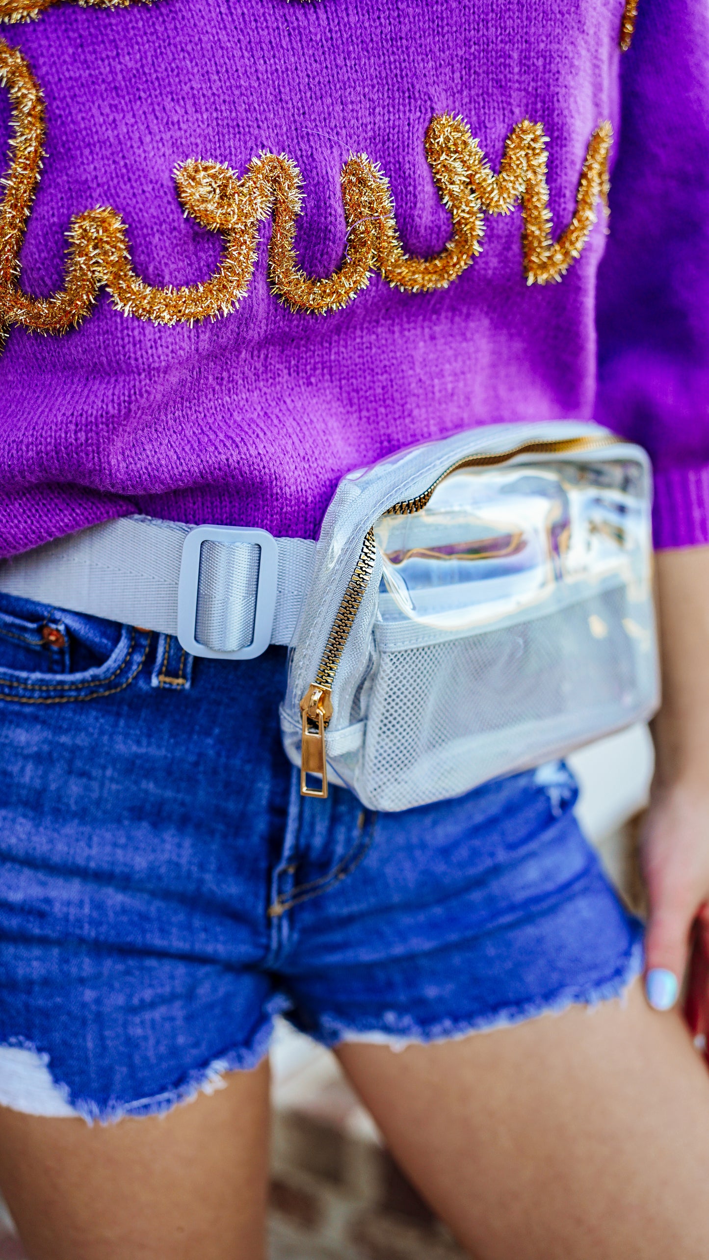 Clear/Gray Bum Bag