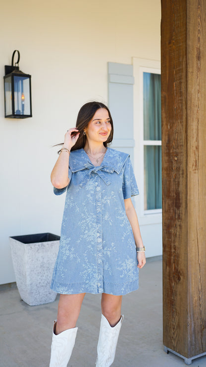 Carry On Denim Dress