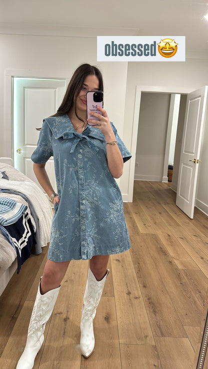 Carry On Denim Dress