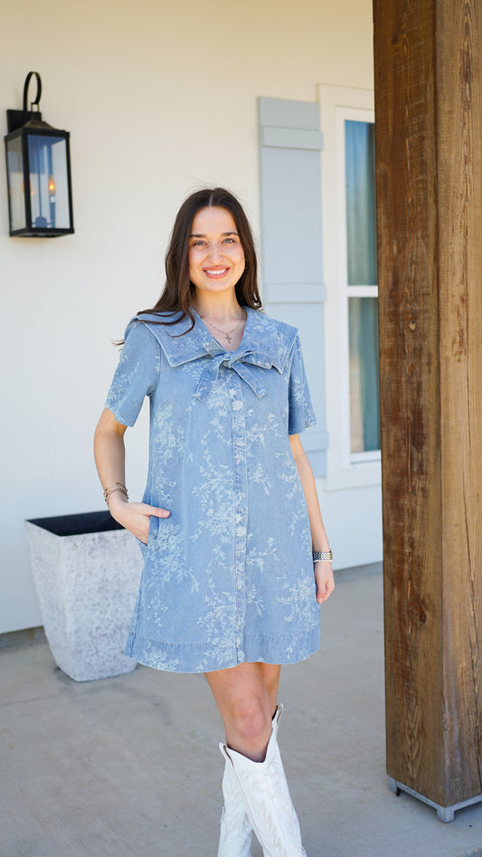 Carry On Denim Dress