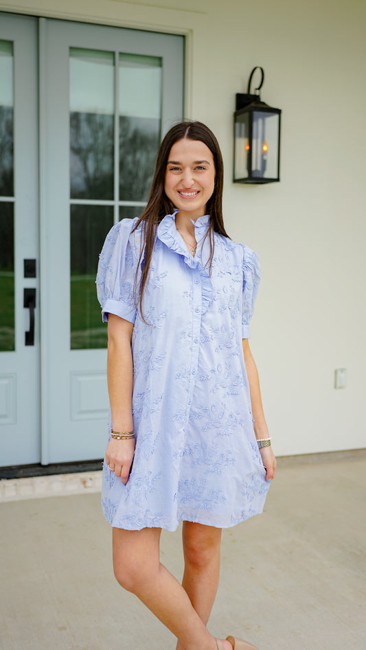 Perfectly Periwinkle Dress