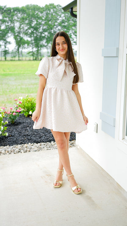 Blush and Bashful Dress